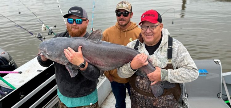 Un pêcheur de tournoi pèse un poisson-chat record en Virginie occidentale
