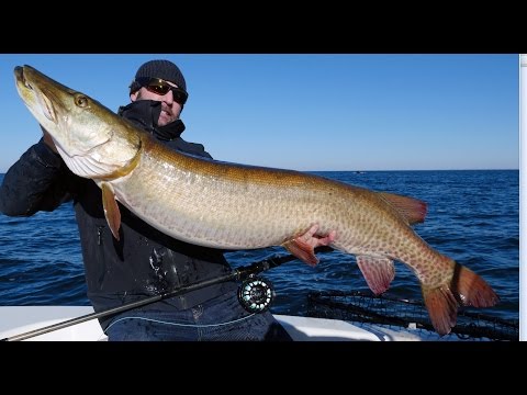 [Titre du site] Les 7 meilleures eaux pour attraper un Muskie trophée, selon une légende de North Woods