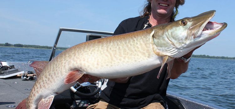 Les 7 meilleures eaux pour attraper un Muskie trophée, selon une légende de North Woods

