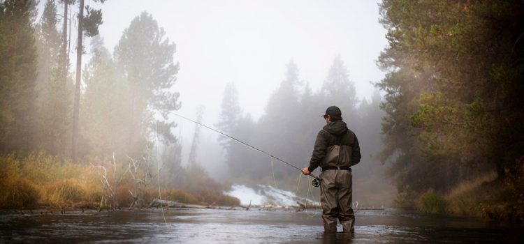 L’initiative radicale visant à interdire la chasse et la pêche dans l’Oregon est un pas de plus vers le scrutin
