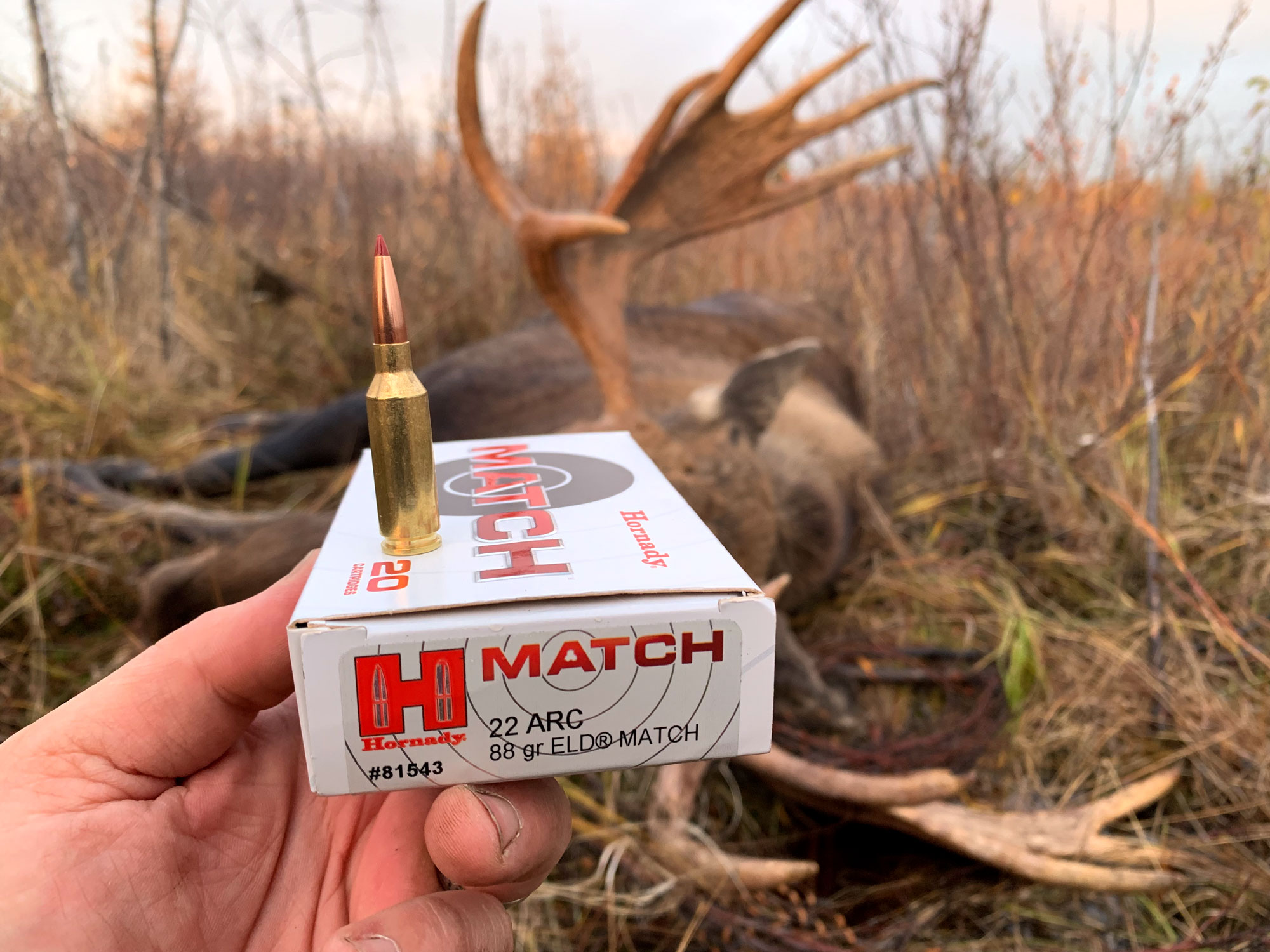 [Titre du site] Le 22 ARC pourrait-il remplacer le .243 Winchester ?