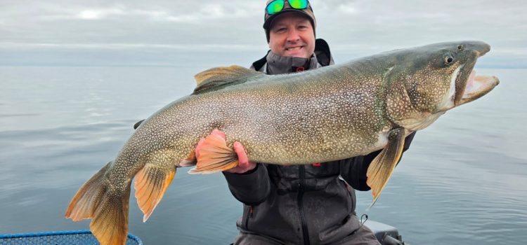 Ce guide sur le lac Supérieur a contribué à battre le record du touladi du Minnesota quatre fois de suite Ce guide sur le lac Supérieur a contribué à battre le record du touladi du Minnesota quatre fois de suite