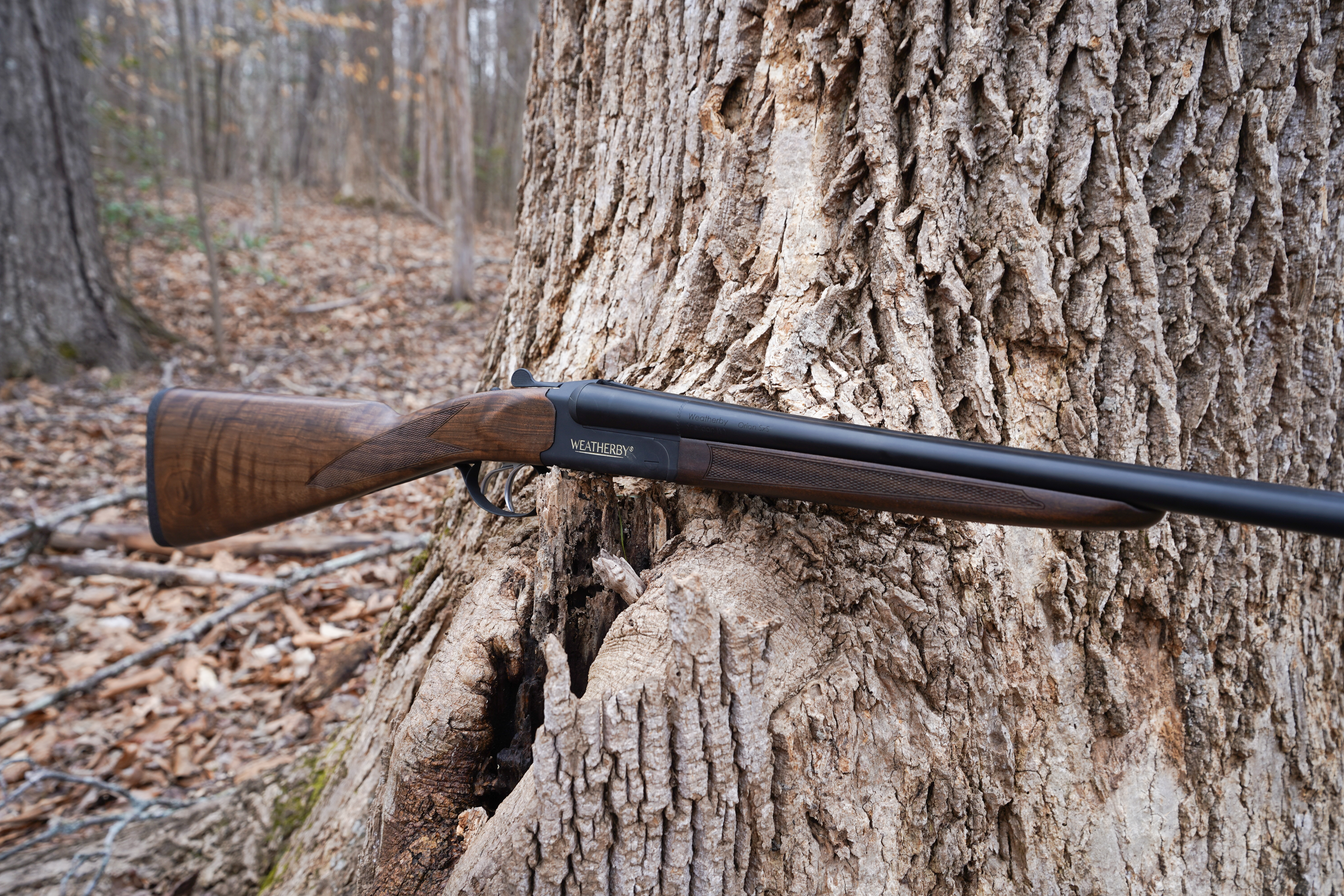 Weatherby Orion Damier
