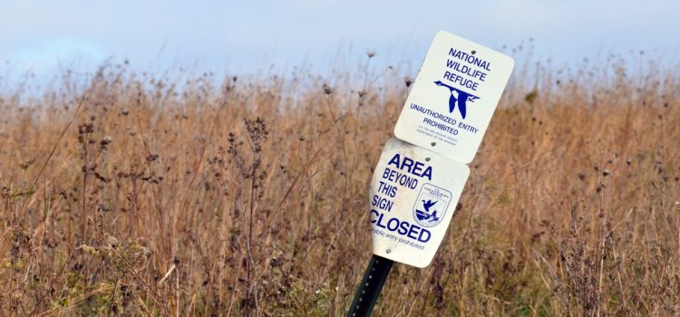 Voici où l’administration Trump envisage d’ouvrir des possibilités de chasse et de pêche sur les terres des refuges et des parcs Voici où l'administration Trump envisage d'ouvrir des possibilités de chasse et de pêche sur les terres des refuges et des parcs