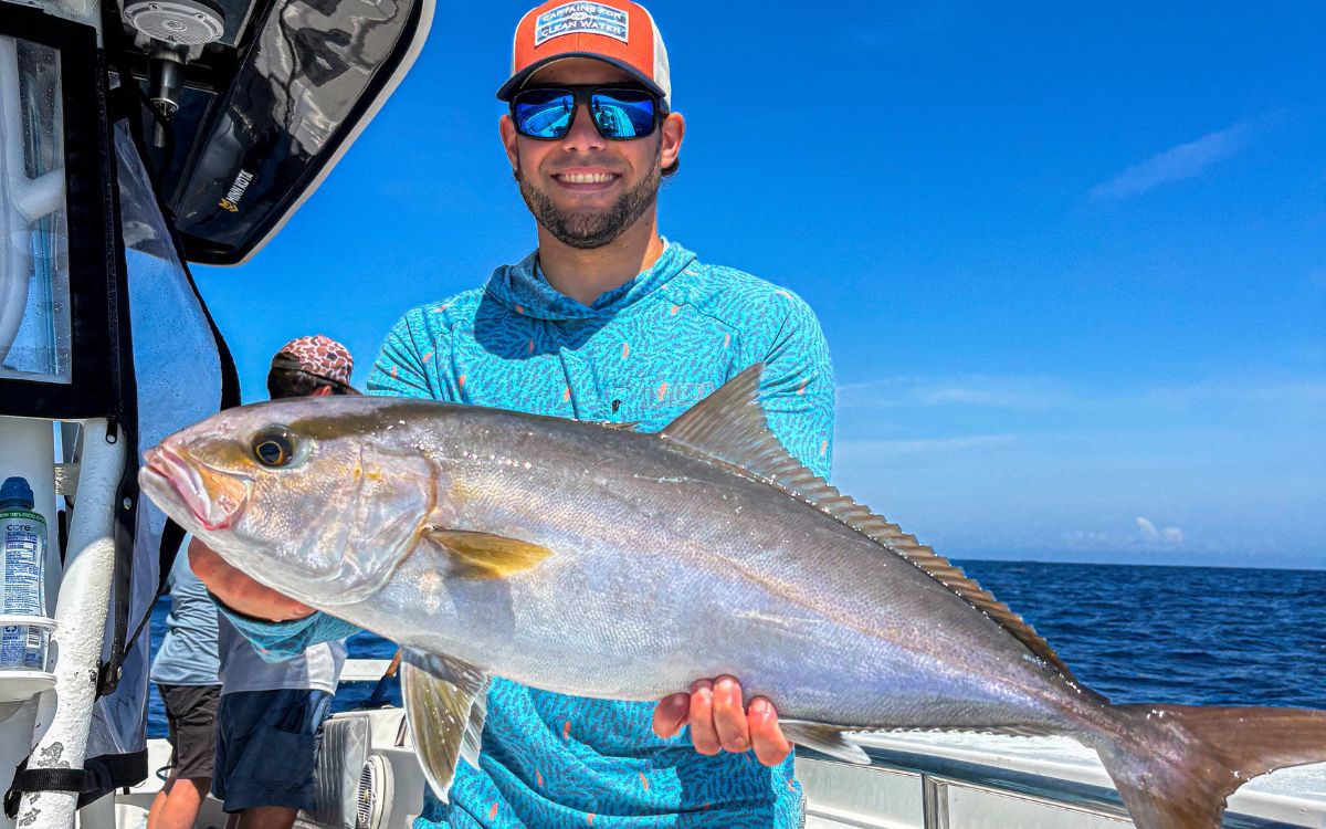 [Titre du site] Pourquoi la sériole est-elle le poisson-gibier sous-estimé du Golfe