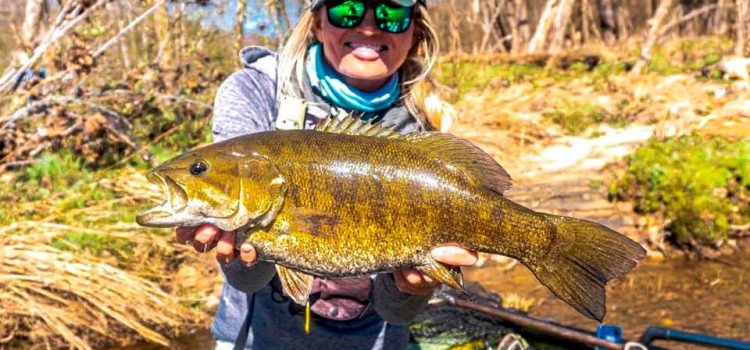 Comment trouver des spots secrets de pêche au bar dans les petites rivières et les ruisseaux
