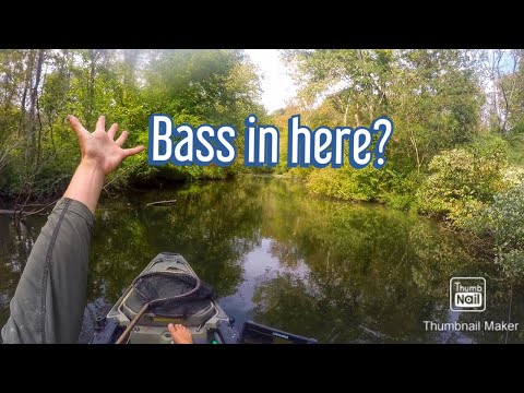 [Titre du site] Comment trouver des spots secrets de pêche au bar dans les petites rivières et les ruisseaux