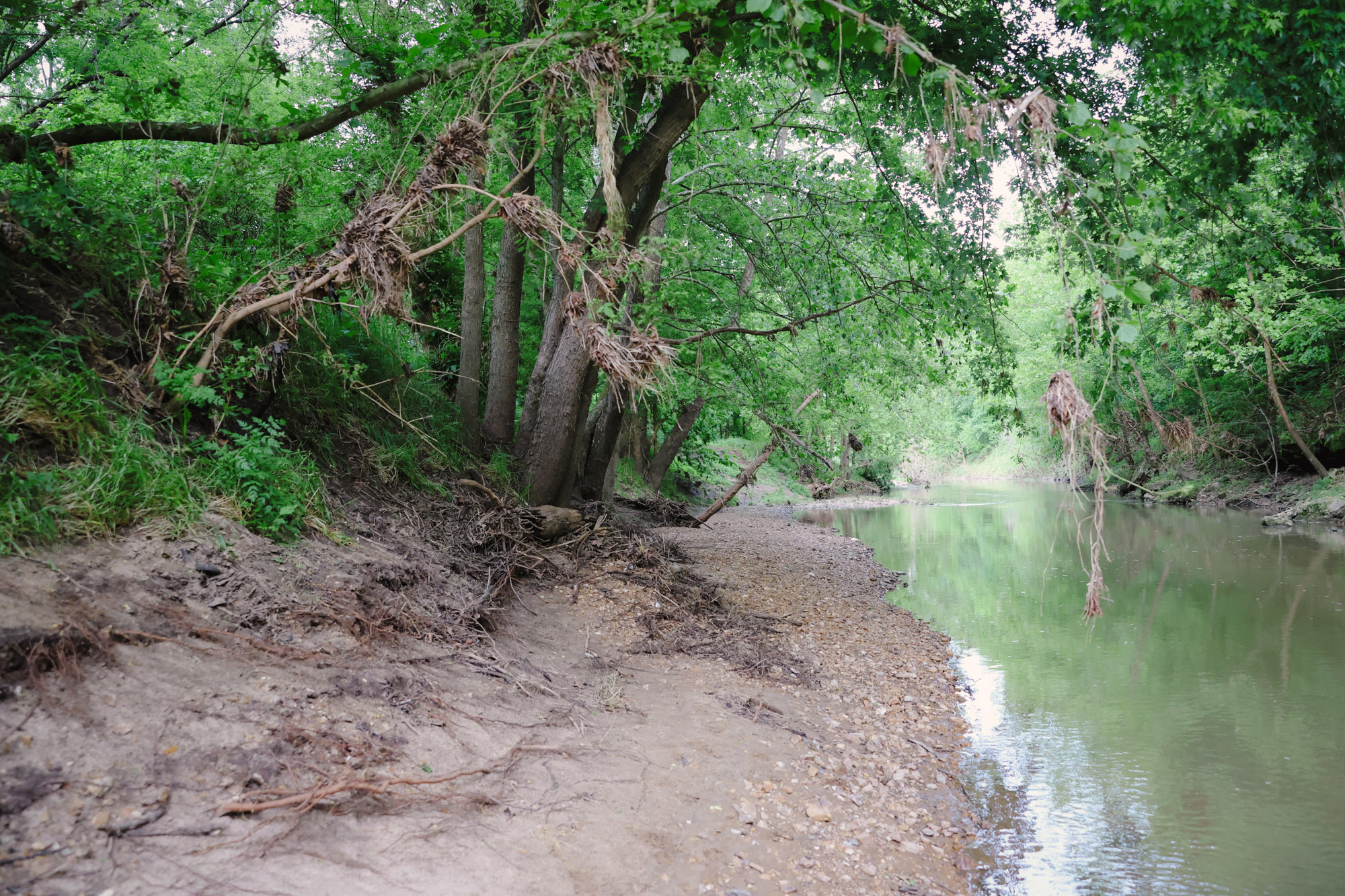 [Titre du site] Des restes humains ont été trouvés sur ma propriété de chasse au cerf. Voici ce qui s'est passé ensuite