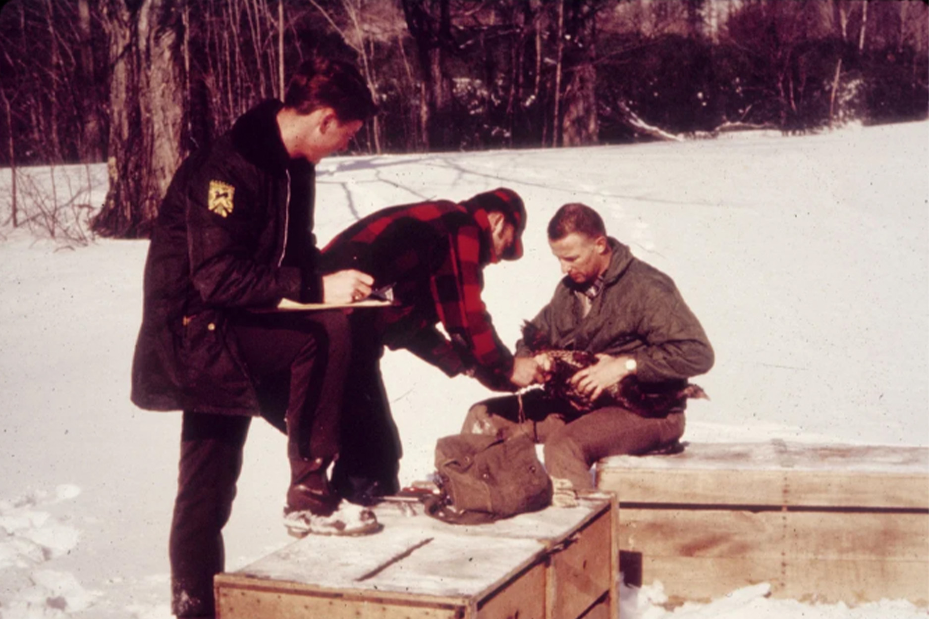 [Titre du site] J'ai tagué le premier Gobbler du Vermont de l'histoire moderne en 1973