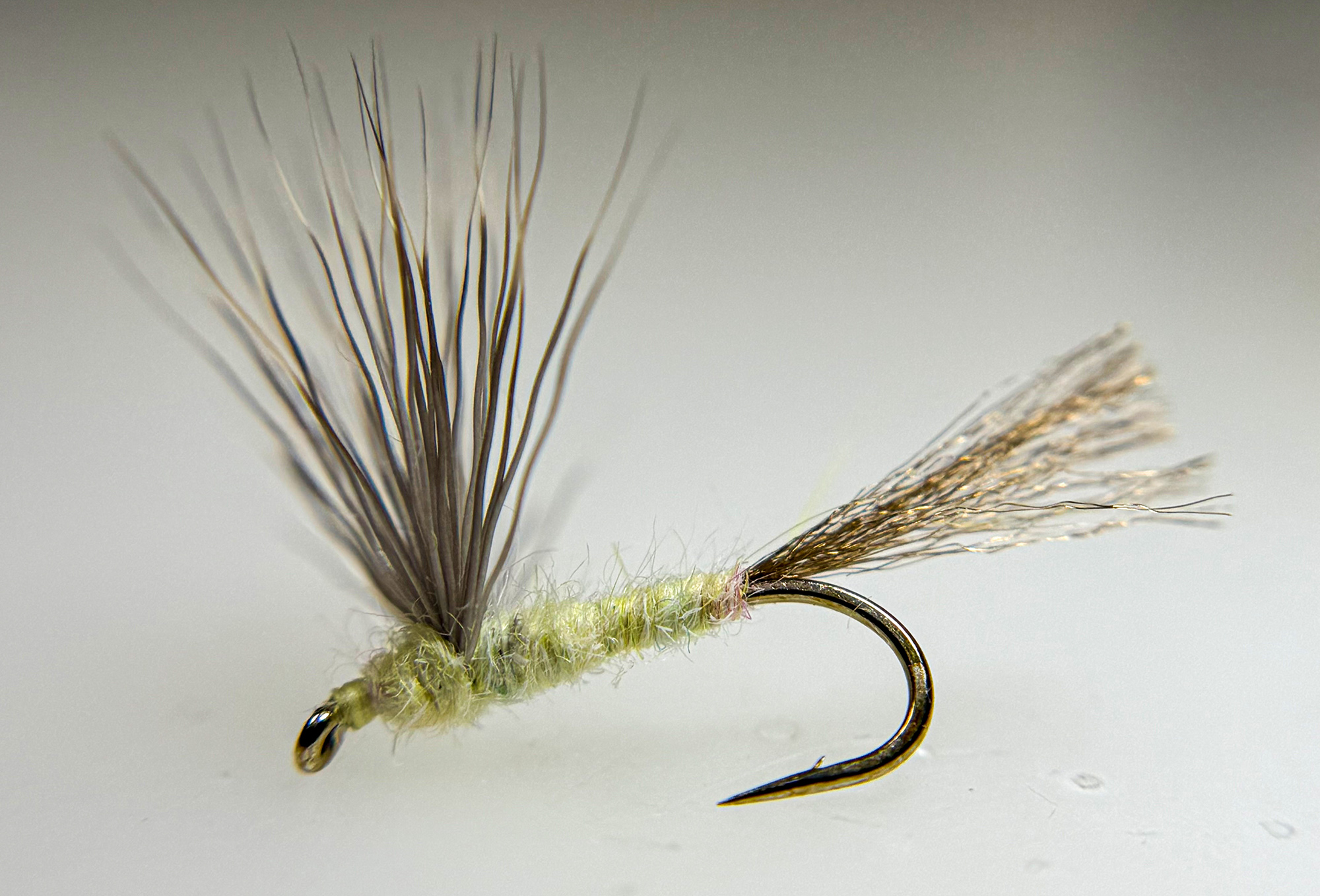 [Titre du site] Podcast Quick Strike : 3 astuces simples à la mouche sèche qui capturent plus de truites