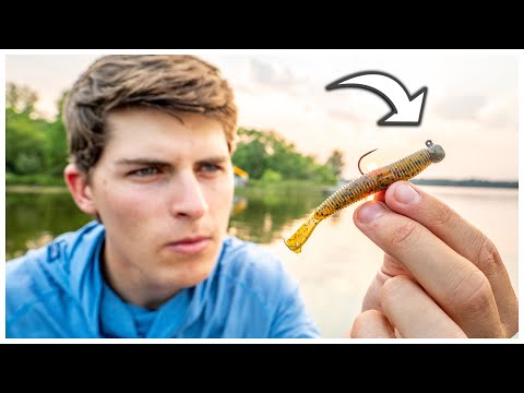 [Titre du site] The Ned Rig : un guide complet sur les appâts, l'équipement et comment le pêcher