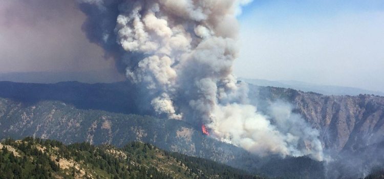 Nous vivons notre pire saison d’incendies de forêt depuis une décennie, et cela va probablement empirer Nous vivons notre pire saison d’incendies de forêt depuis une décennie, et cela va probablement empirer