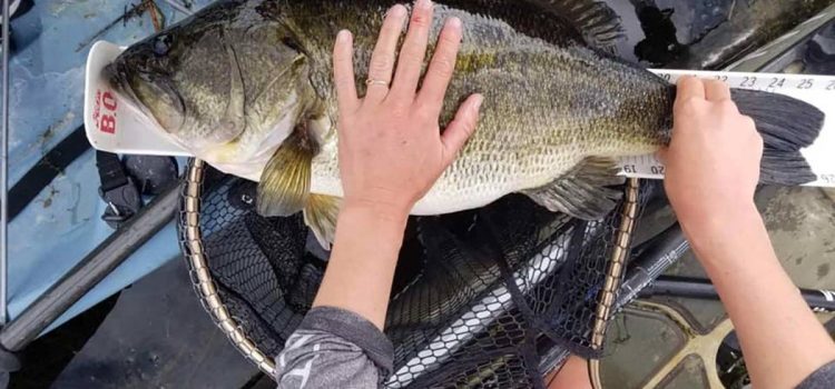 Les pêcheurs de bar sérieux devraient savoir quand faire du poisson pétillant. Voici comment le faire en toute sécurité Les pêcheurs de bar sérieux devraient savoir quand faire du poisson pétillant. Voici comment le faire en toute sécurité