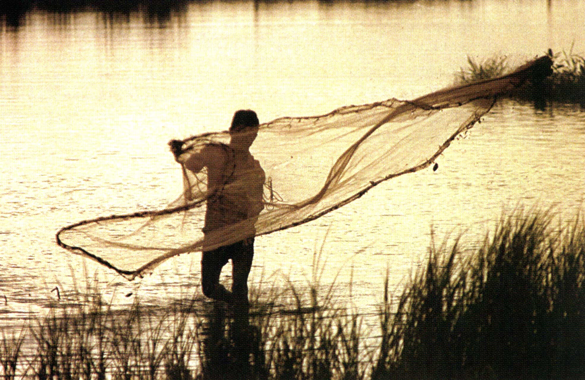[Titre du site] Attrapez ces 6 espèces d'appâts vivants pour débarquer plus de poissons cet été