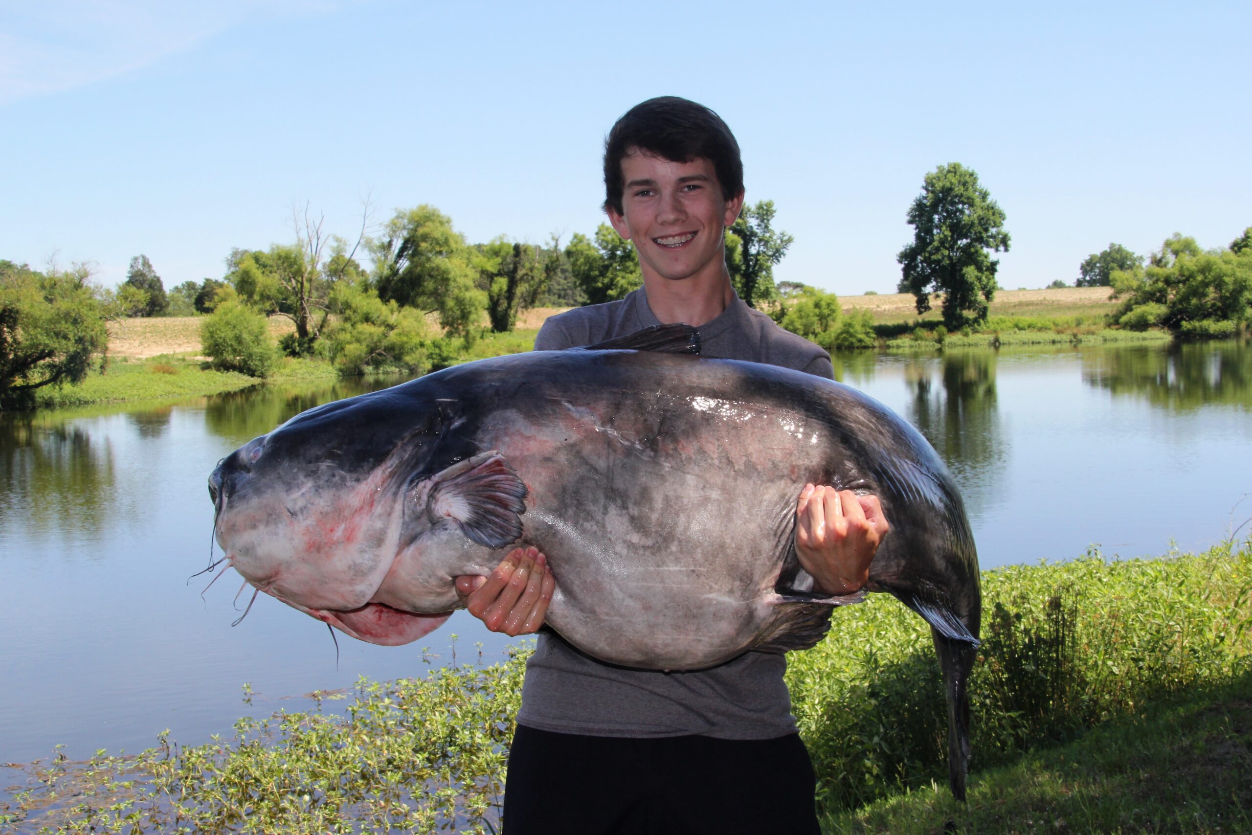 [Titre du site] Ce sont les plus gros poissons-chats nord-américains de tous les temps