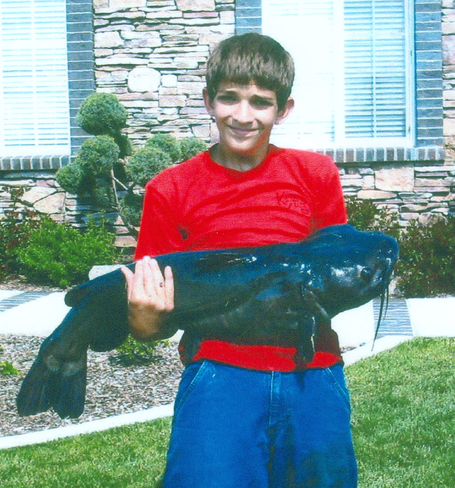 [Titre du site] Ce sont les plus gros poissons-chats nord-américains de tous les temps