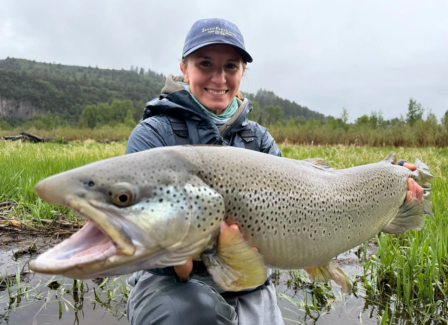 Un pêcheur à la ligne brandit une énorme truite brune de la rivière Snake.