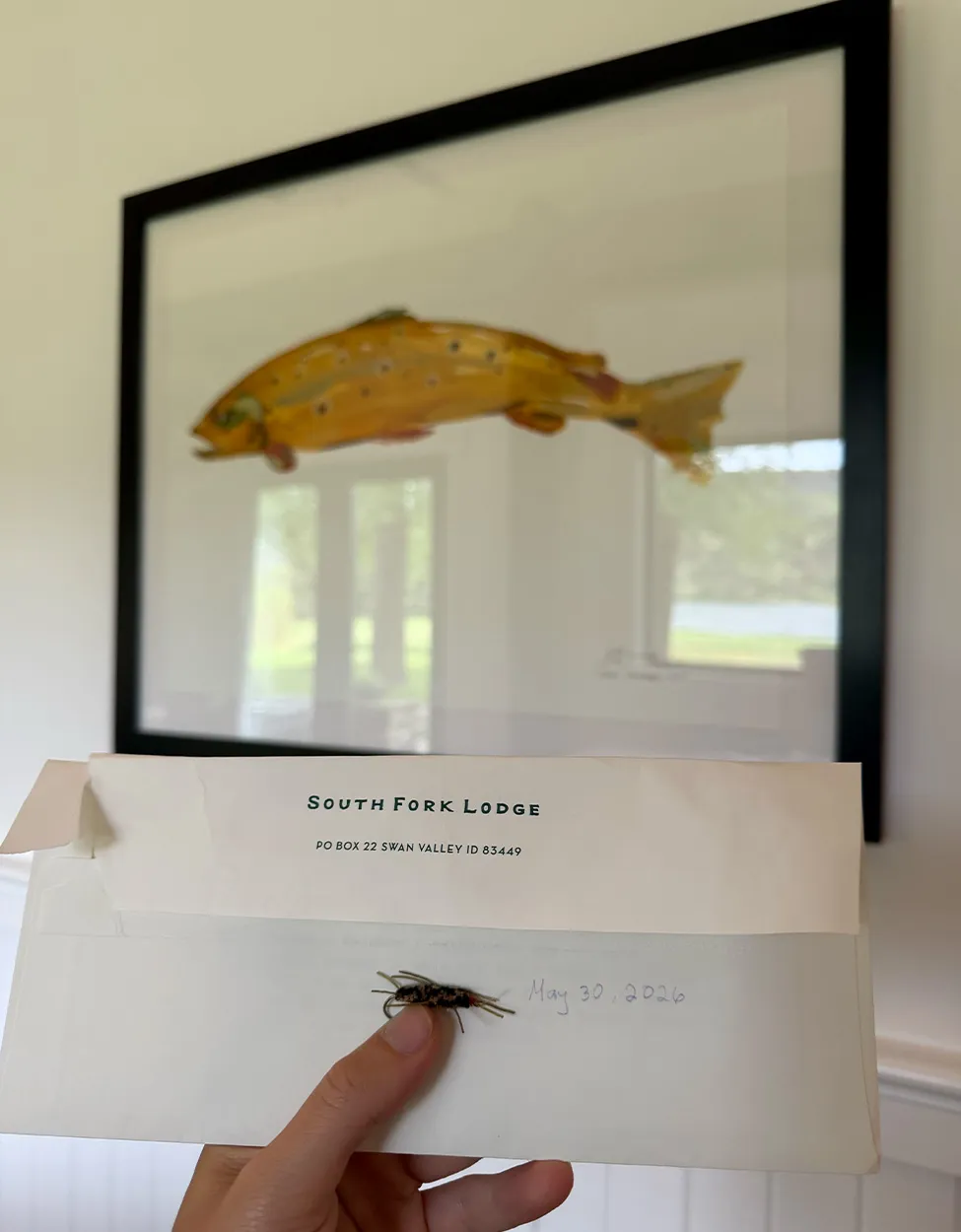 Une mouche à pattes élastiques tenue avec une peinture de truite brune en arrière-plan.