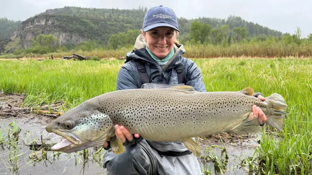 Elle a raté une journée de pêche, puis a attrapé une truite « mégalodon » qui devrait constituer un record d'État