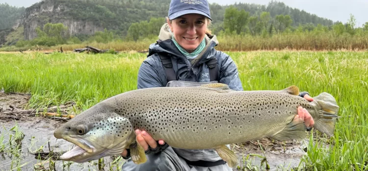Elle a raté une journée de pêche, puis a attrapé une truite « mégalodon » qui devrait constituer un record d'État
