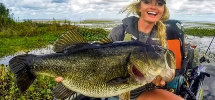 Comment ne plus jamais perdre une autre basse géante
