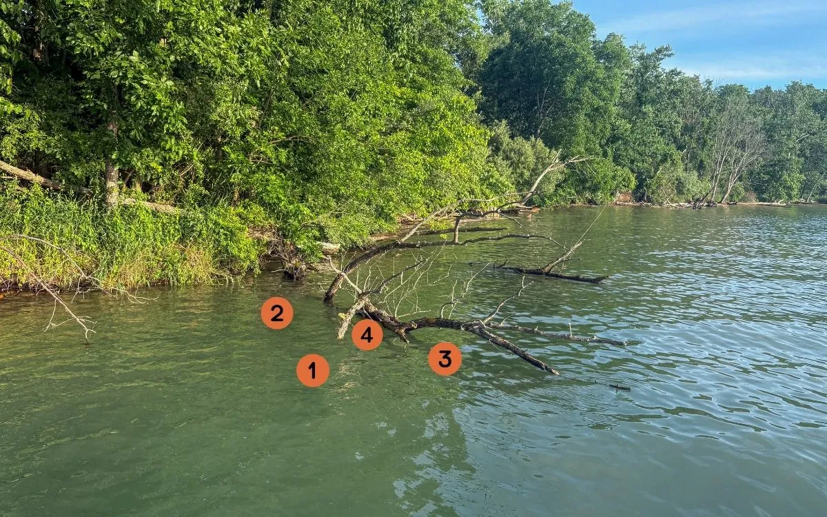 [Titre du site] Comment pêcher le bar géant et le panfish