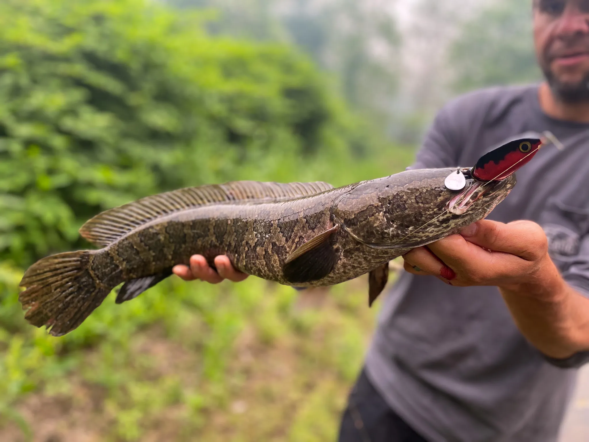 [Titre du site] Les 5 poissons les plus difficiles à accrocher