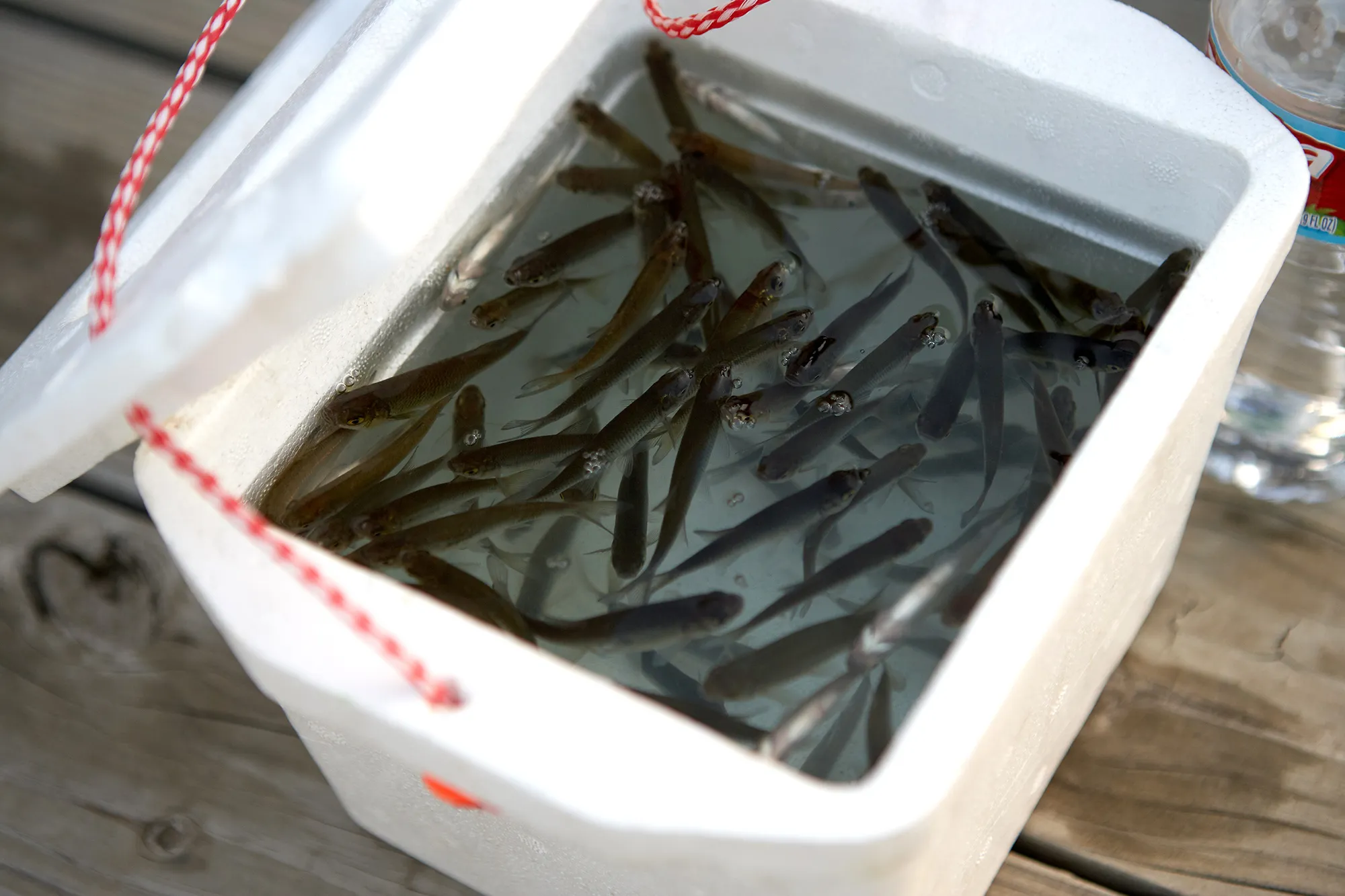 [Titre du site] 6 règles de pêche qui sont souvent (et sans le savoir) enfreintes