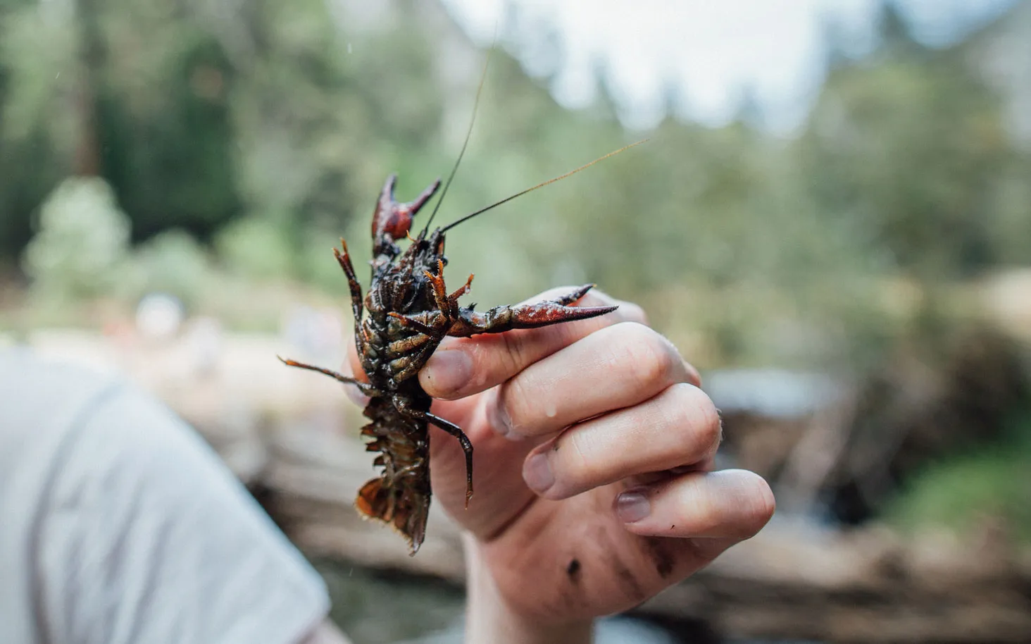 [Titre du site] 6 règles de pêche qui sont souvent (et sans le savoir) enfreintes