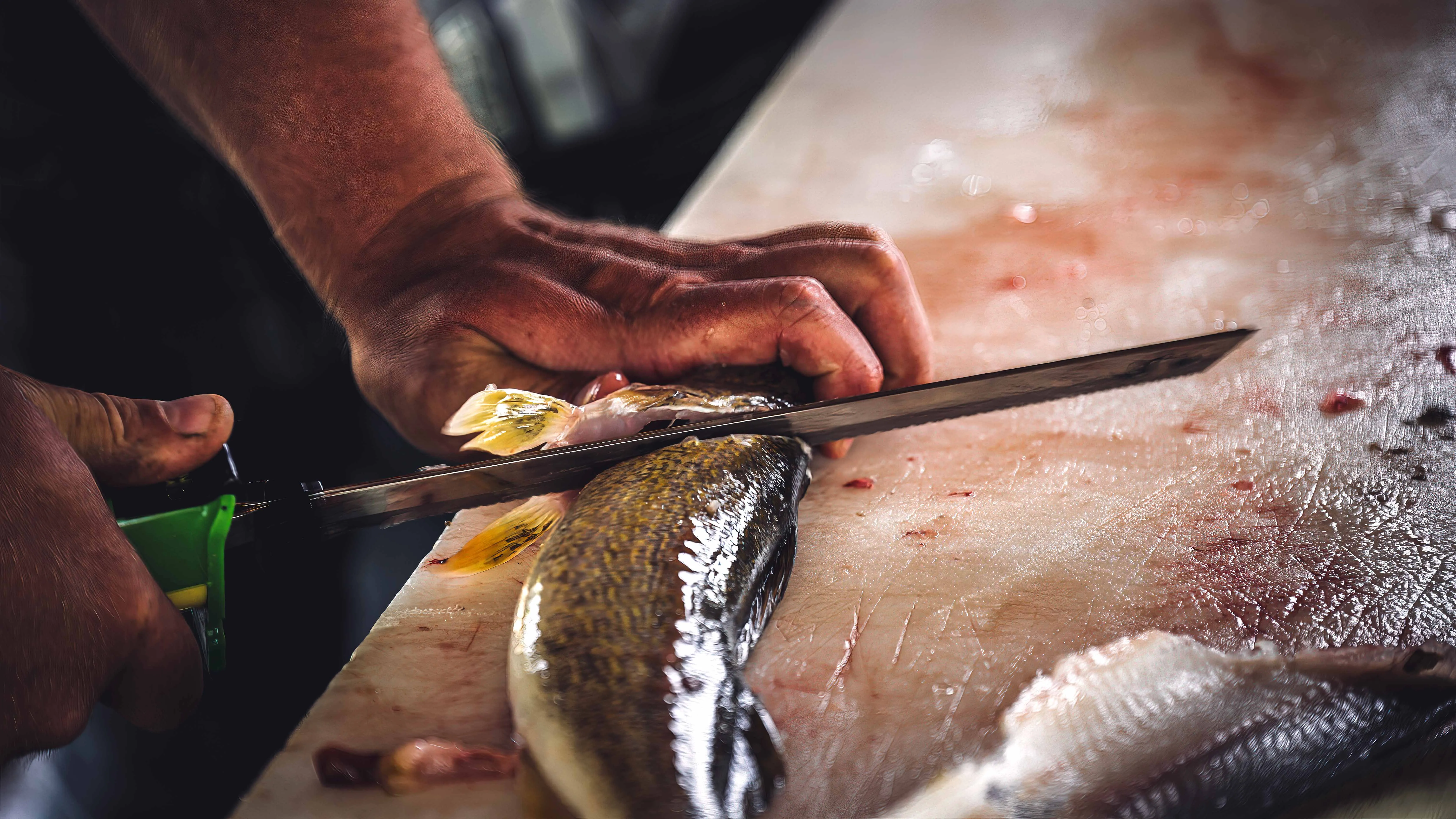 [Titre du site] 6 règles de pêche qui sont souvent (et sans le savoir) enfreintes