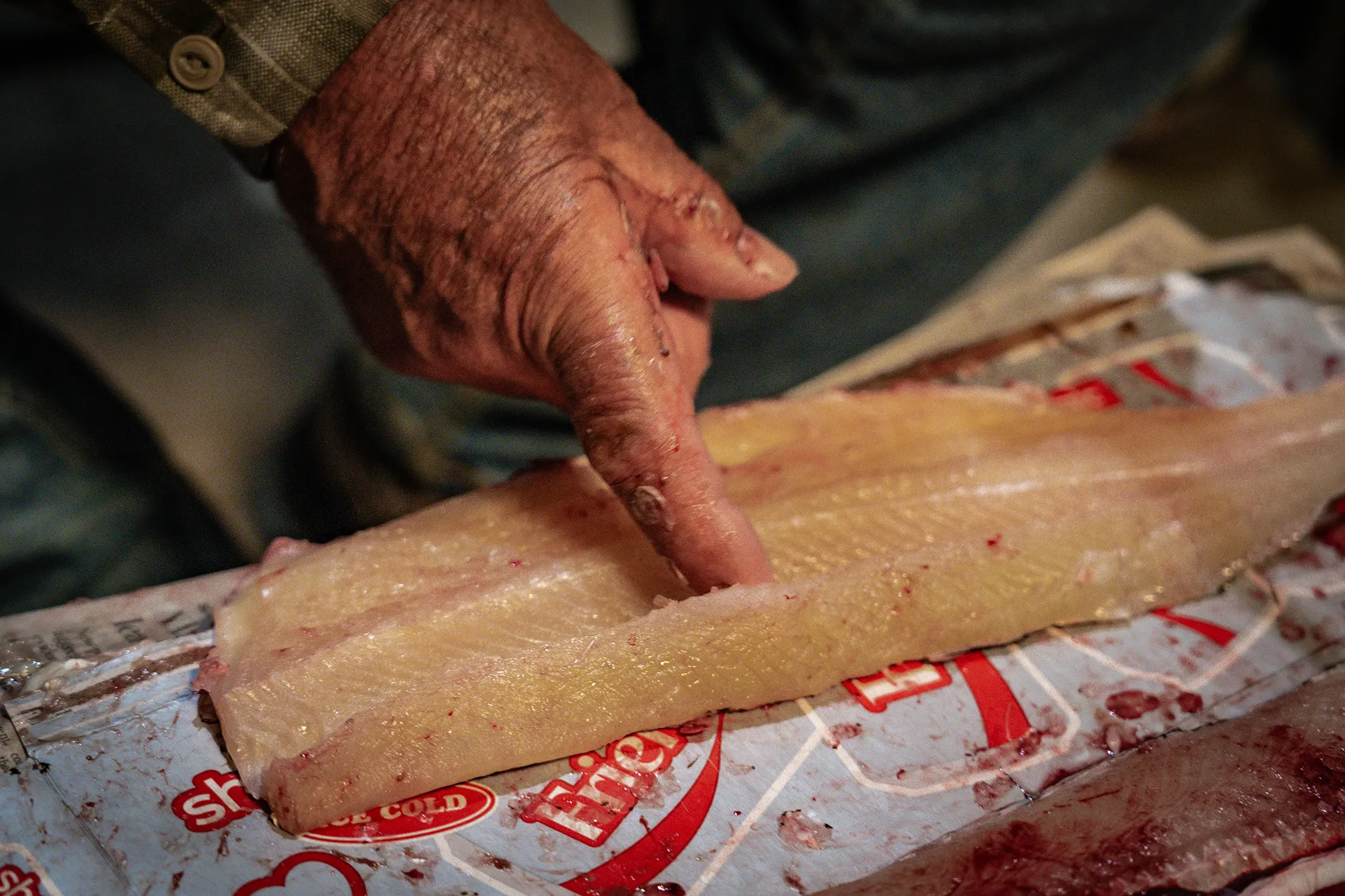 [Titre du site] Secrets pour attraper, nettoyer et frire le grand brochet — d'après une légende de la pêche