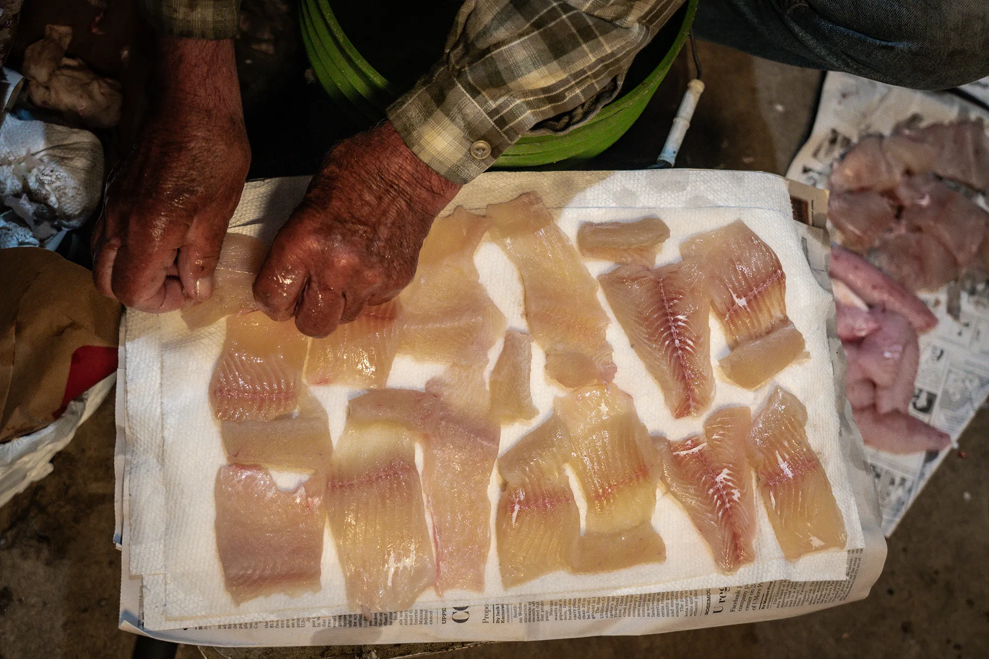 [Titre du site] Secrets pour attraper, nettoyer et frire le grand brochet — d'après une légende de la pêche
