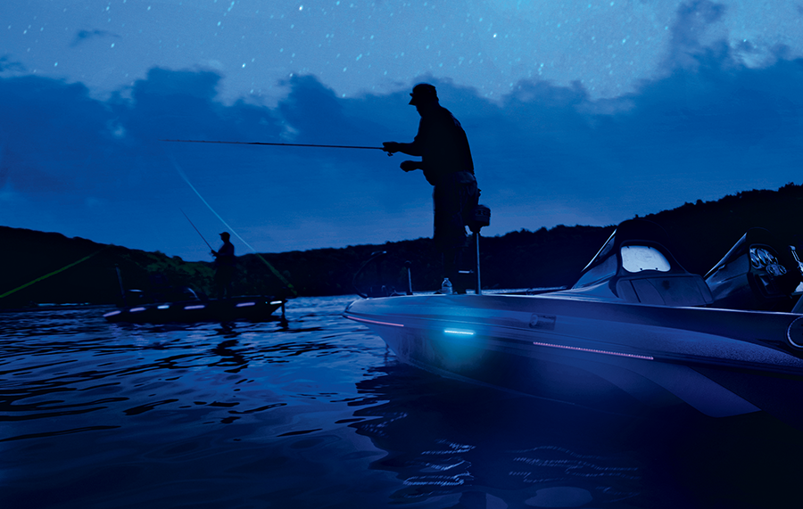 Conseils pour attraper de plus gros bars la nuit, selon 3 experts