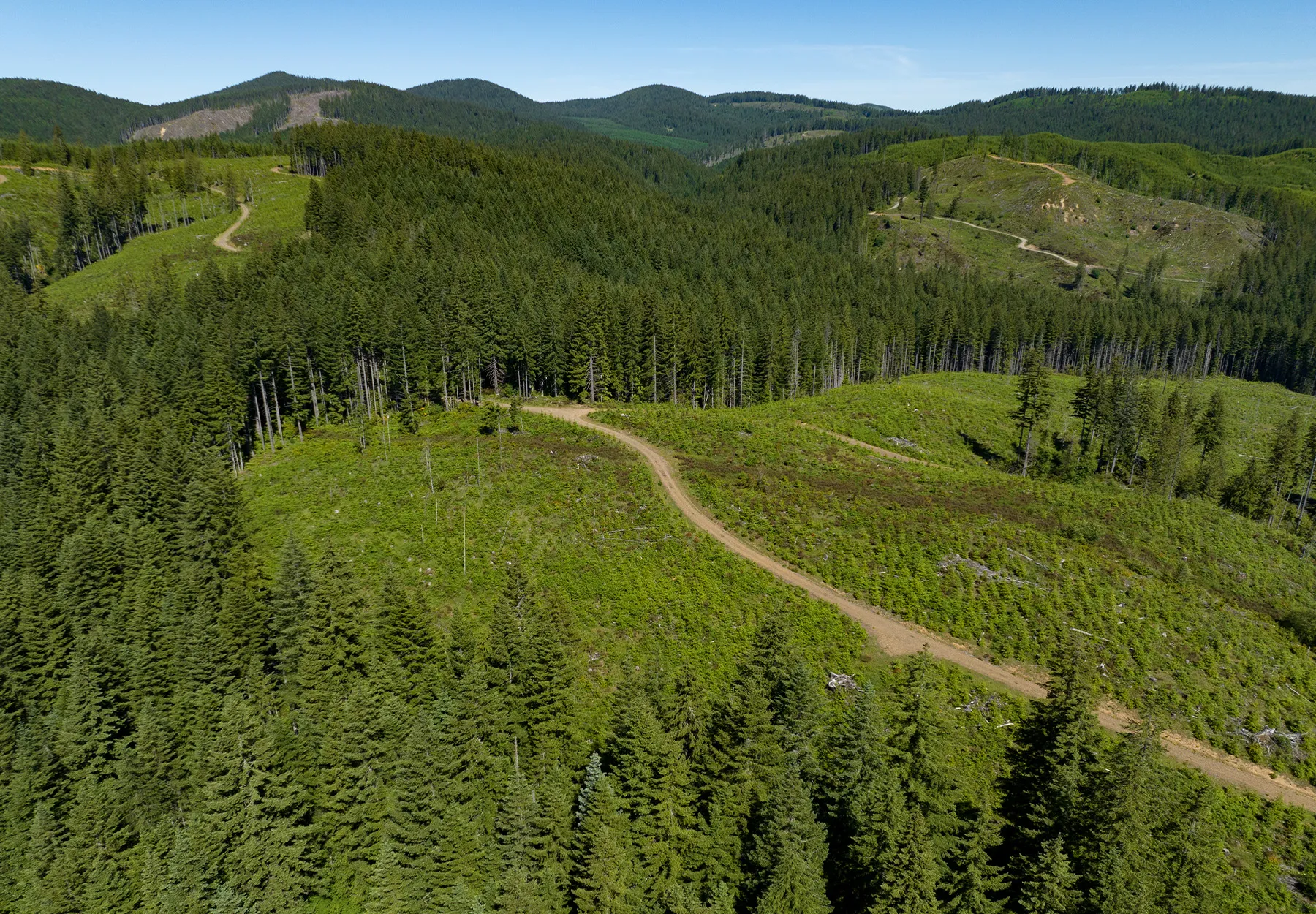 [Titre du site] Les écologistes utilisent la faille du Congrès concernant les terres publiques pour poursuivre en justice une vente de bois