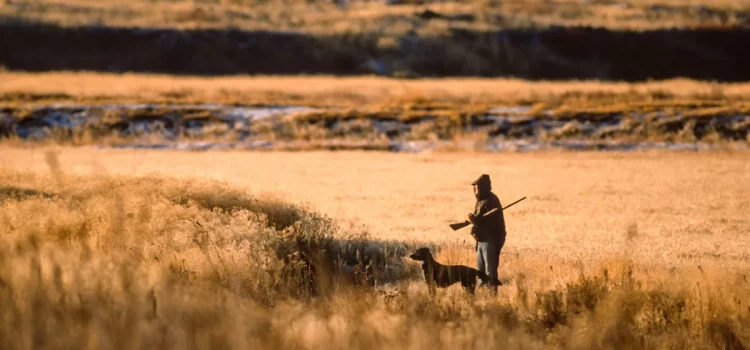Alors que l’interdiction de la chasse au poisson dans l’Oregon se rapproche du scrutin, tous les politiciens de l’État s’enfuient Alors que l'interdiction de la chasse au poisson dans l'Oregon se rapproche du scrutin, tous les politiciens de l'État s'enfuient