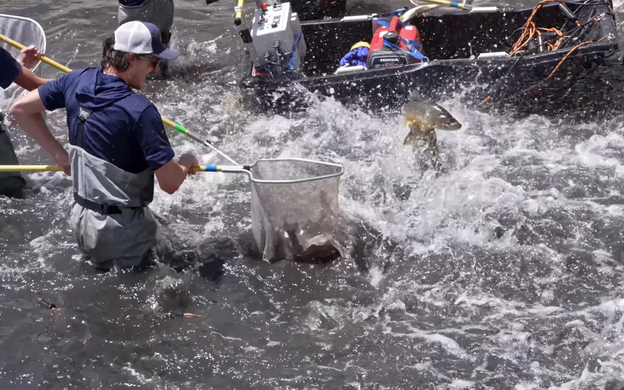 [Titre du site] Les autorités récupèrent environ 1 000 truites trophées du réservoir du Colorado frappé par la sécheresse