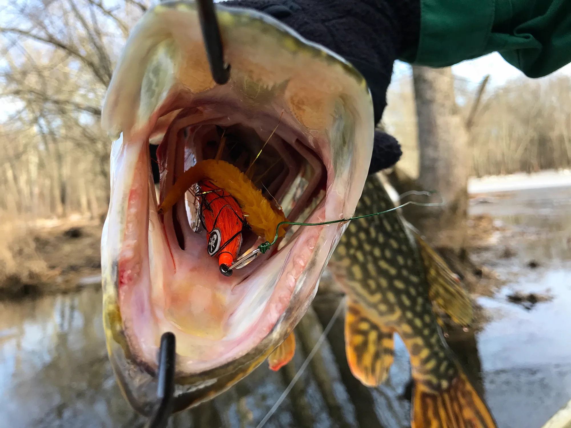 [Titre du site] 3 solutions faciles pour attraper le brochet à la volée