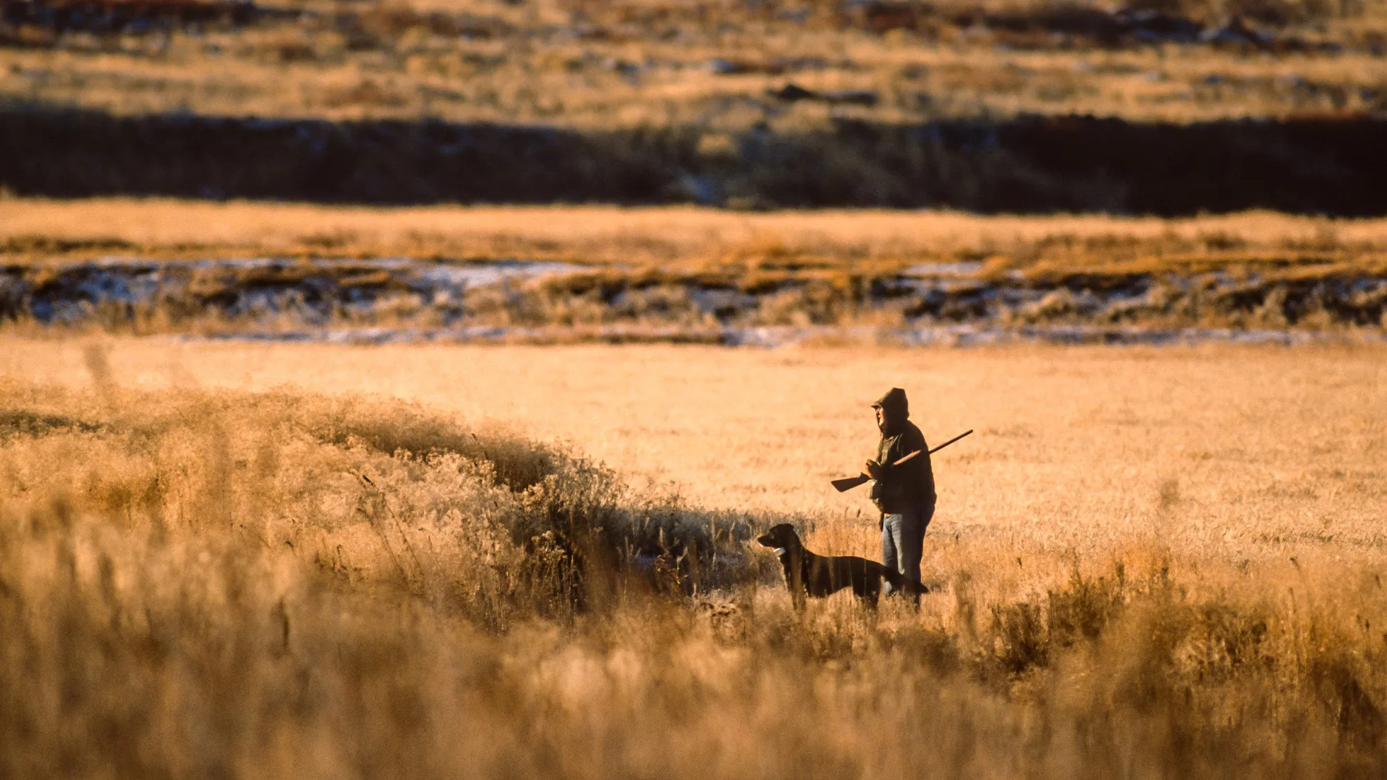 [Titre du site] Alors que l'interdiction de la chasse au poisson dans l'Oregon se rapproche du scrutin, tous les politiciens de l'État s'enfuient