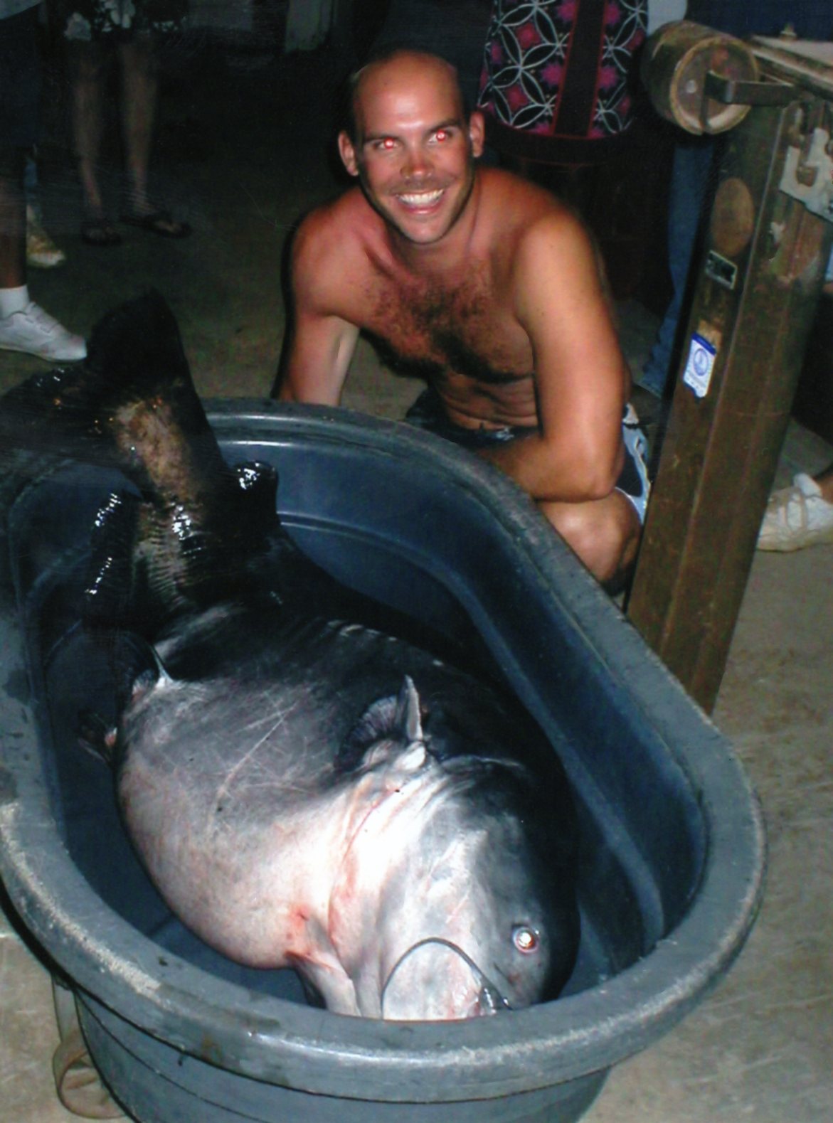 [Titre du site] Ce sont les plus gros poissons-chats nord-américains de tous les temps