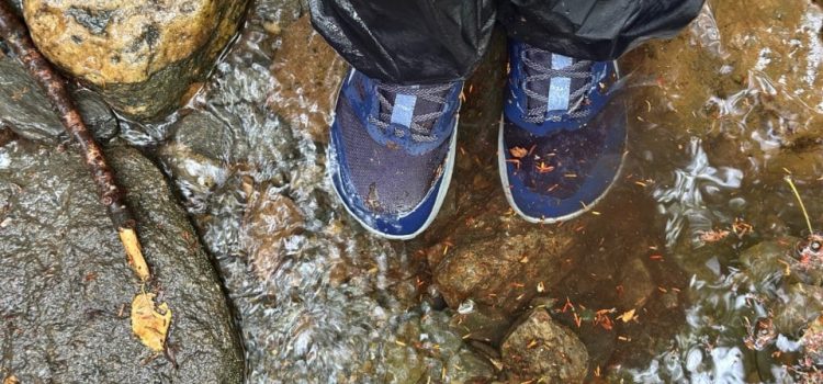Chaussures de trail running imperméables : avantages et inconvénients SectionHiker.com