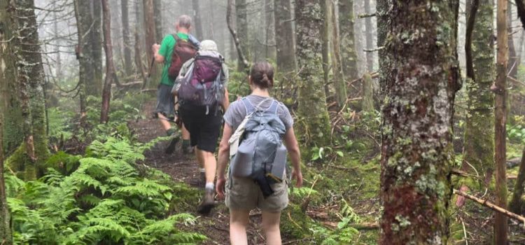 Comment faire de la randonnée et s’habiller pour la randonnée par temps très humide SectionHiker.com