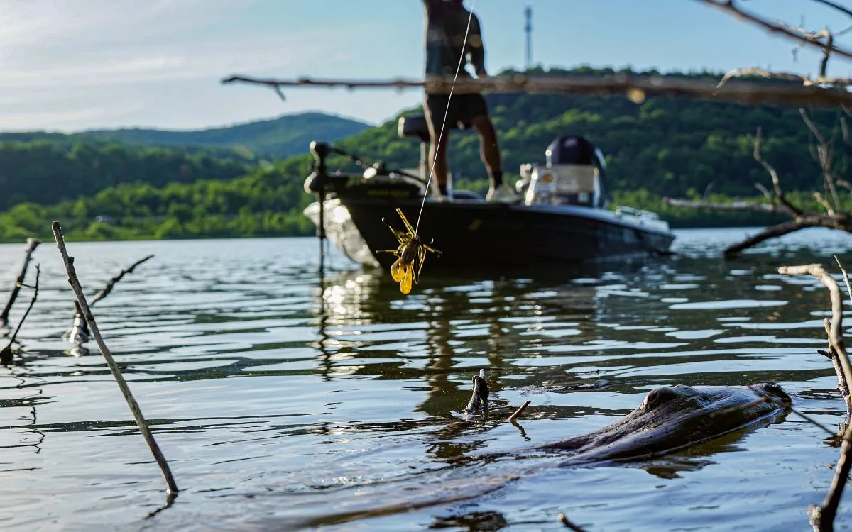 [Titre du site] Comment pêcher le bar géant et le panfish