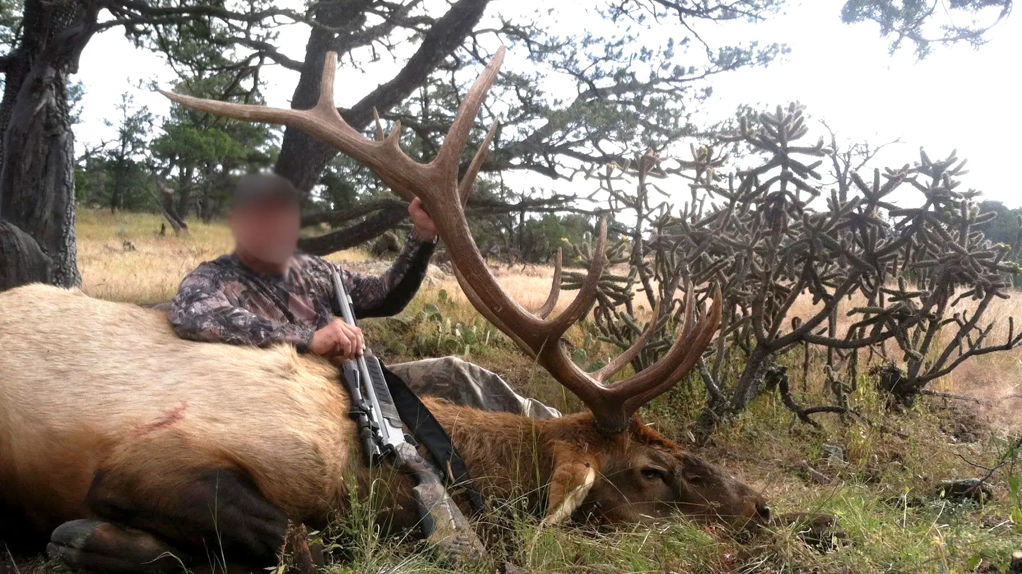 [Titre du site] Des guides de chasse du Nouveau-Mexique accusés d'avoir vendu des étiquettes d'élan à des étrangers