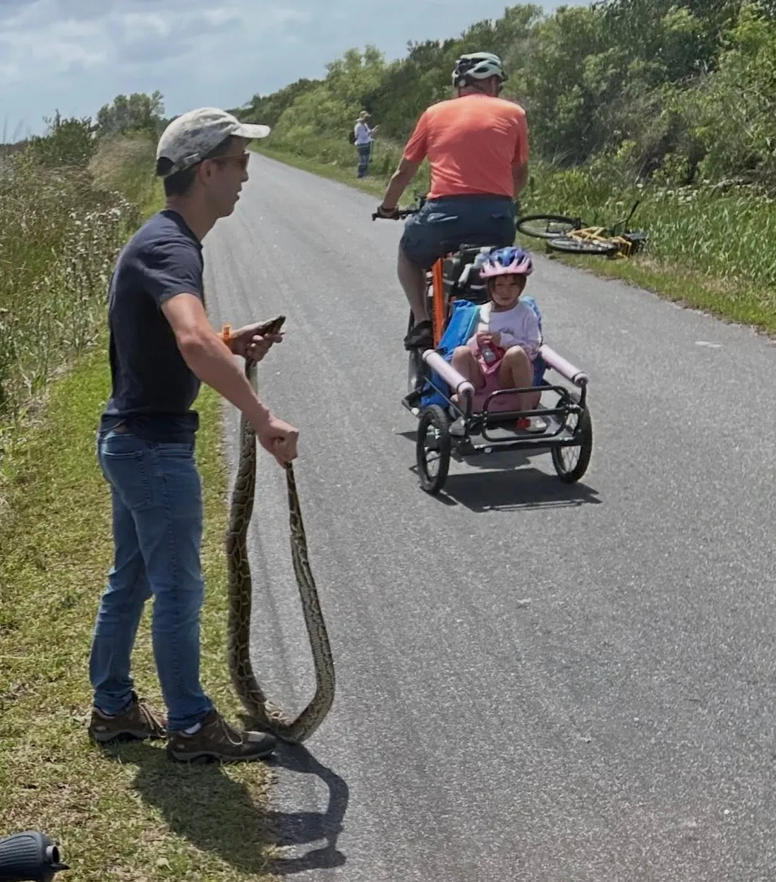 [Titre du site] La Floride veut désespérément éradiquer ses pythons. Alors pourquoi cet homme a-t-il été condamné à une amende pour en avoir retiré un ?