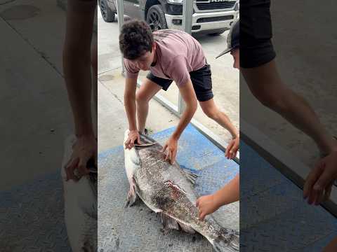 [Titre du site] Un adolescent du Kentucky bat un record mondial de carpe à grosse tête avec une flèche cassée