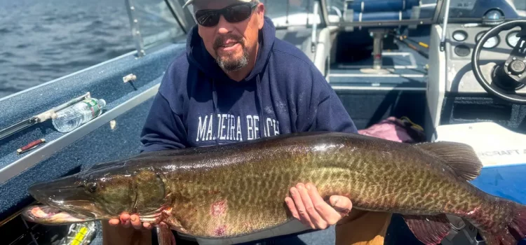 "Notre réseau n'est pas assez grand pour ça." Le Muskie géant du père et du fils est un record non officiel du Vermont
