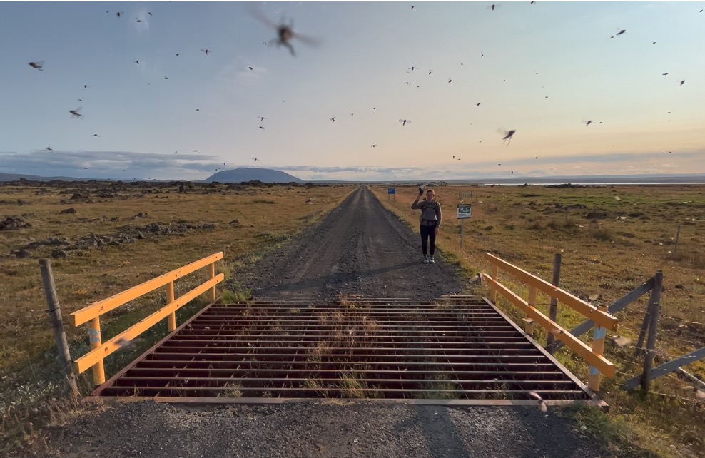 [Titre du site] 25 choses que les randonneurs longue distance ne disent jamais