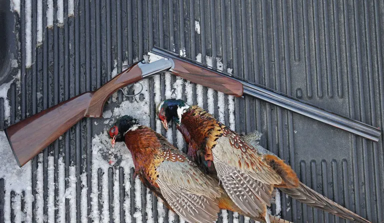 [Titre du site] 8 armes classiques toujours fabriquées en Amérique