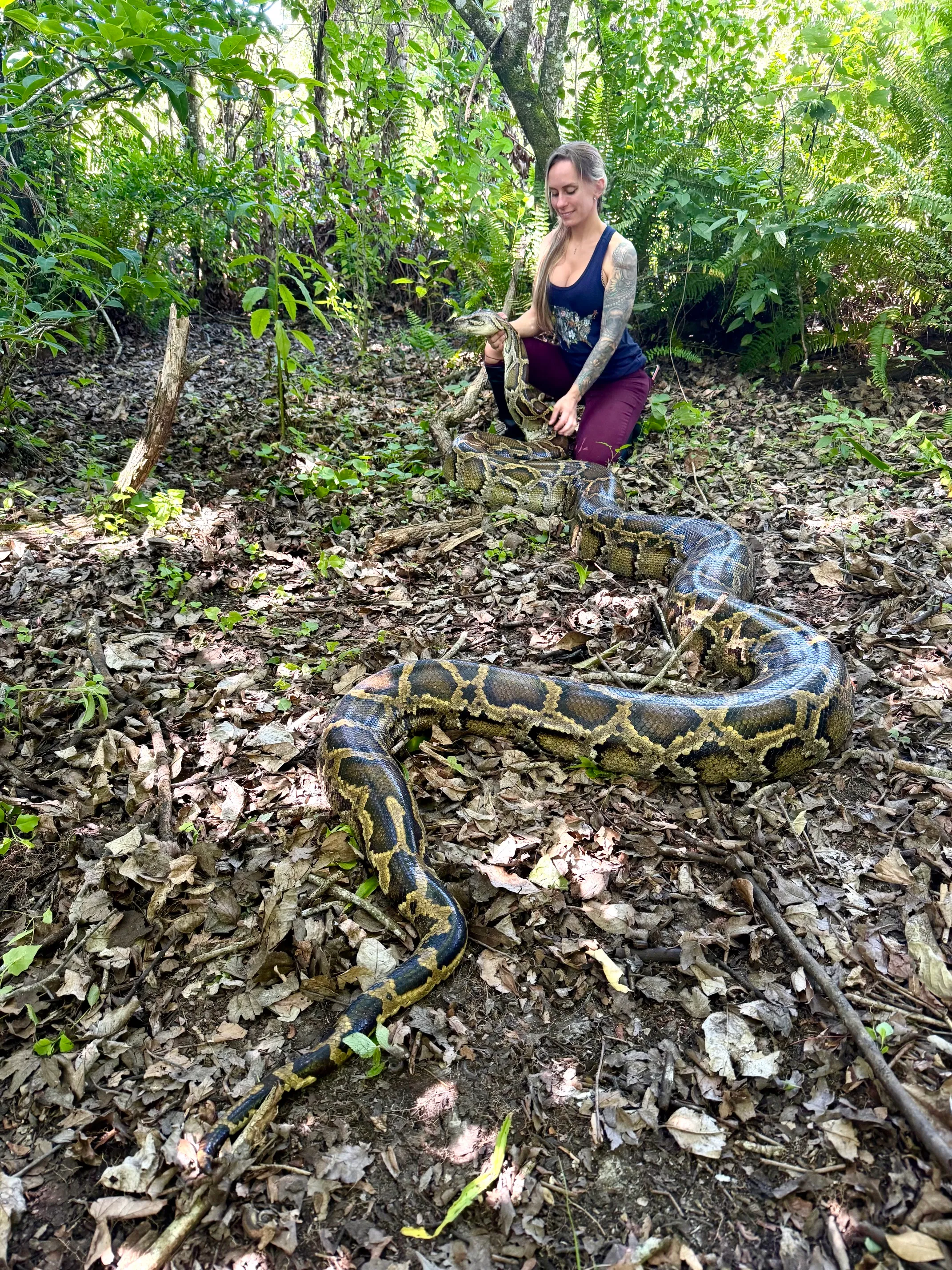 [Titre du site] Les chasseurs de serpents se rendent en Floride pour la compétition la plus sauvage et la plus virale du pays