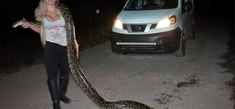 Les chasseurs de serpents se rendent en Floride pour la compétition la plus sauvage et la plus virale du pays
